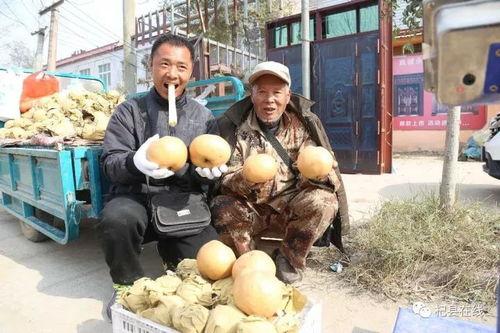 杞县卖甘蔗网红快手,甜蜜事业新风尚