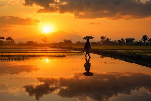 朝气蓬勃的照片,朝气蓬勃的瞬间
